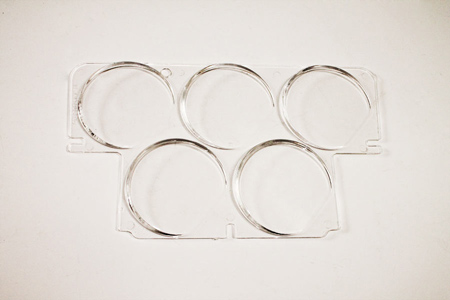 Corvette Center Cluster Lens, 68-82